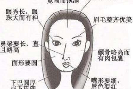 女人水型面相解析：以相学揭示你的命运之道