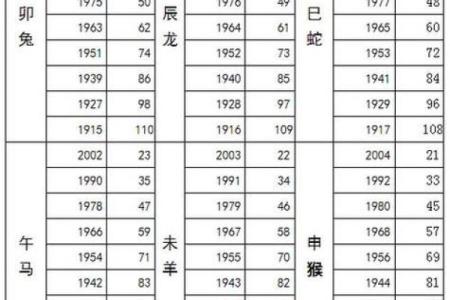 2024年属马人的命运解析：以命理看未来机遇与挑战