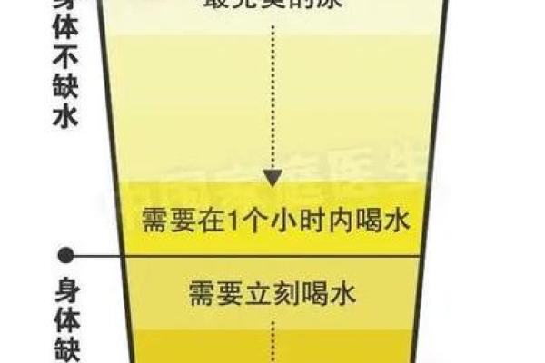 木命缺水的颜色选择与生活调和探究