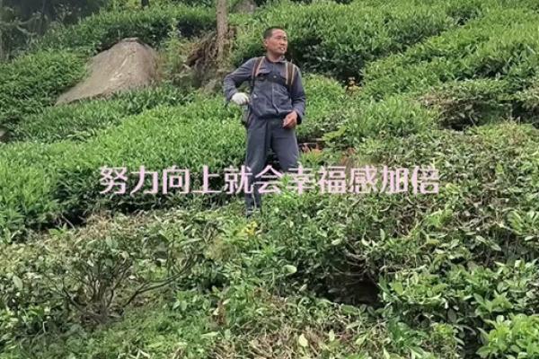 干活的人：探索勤劳命人的生活与价值观