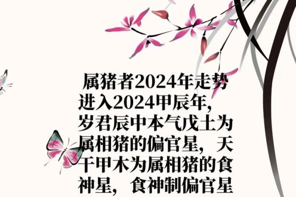 2020年出生的猪命运揭秘：探寻你的生肖欢喜与挑战