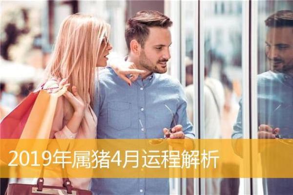 2019年属猪的命理解析与未来运势探讨