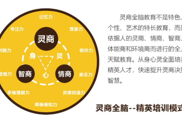 聪明发达：四大命格解析你的潜力与成就