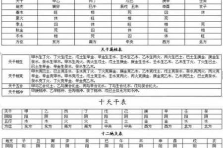 2023年出生宝宝命理解读：解析哪些特点与命理相克