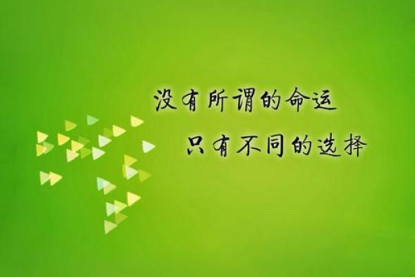 命日记的结局揭示了什么？探寻命运与选择的深层意义