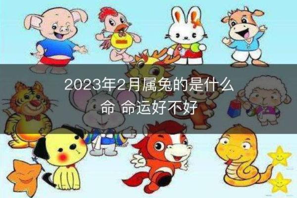 2003年兔年命理解析：性格与运势全揭秘！