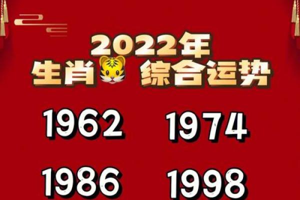 2022年出生的婴儿命运解析：生肖虎宝宝的生活与成长