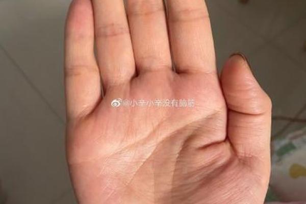 女命尤甚：揭示命理中女性命运的深刻密码