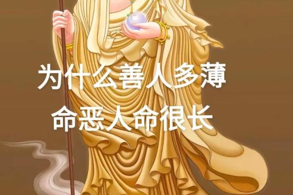 善人何以算不了命？探讨命运与行为的深刻关系