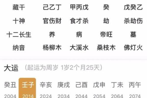 己酉年出生的人命运分析：五行解析与性格特点