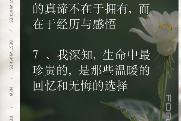 2009年去世的命运解读：生命的终点与轮回的哲学思考