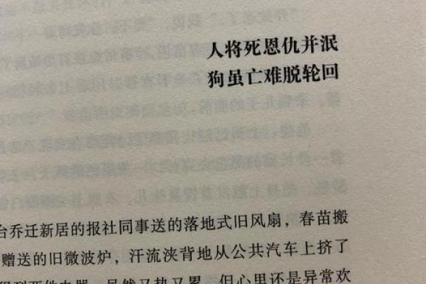 2009年去世的命运解读：生命的终点与轮回的哲学思考