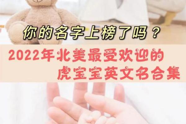 未时出生的虎宝宝：他们的命运与性格解析