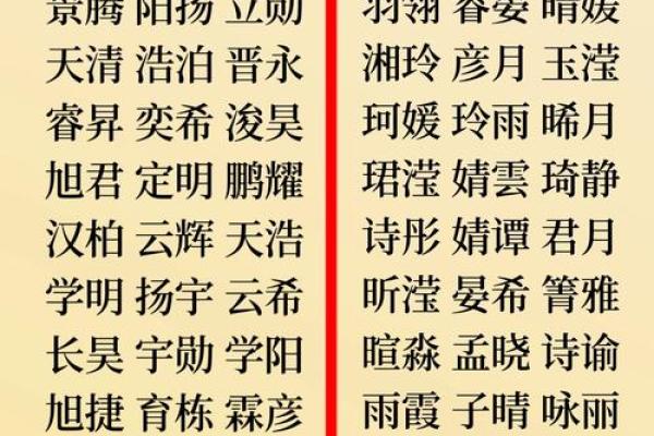 2023年龙宝宝命运揭秘：天赋、性格与未来规划