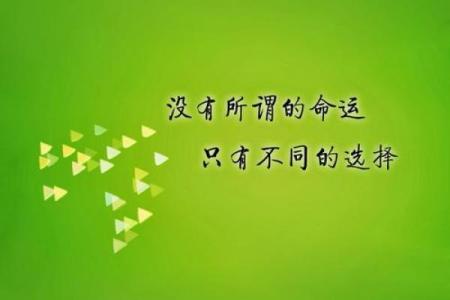 命日记的结局揭示了什么？探寻命运与选择的深层意义