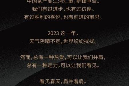 2023年：命运流年的启示与机遇探讨