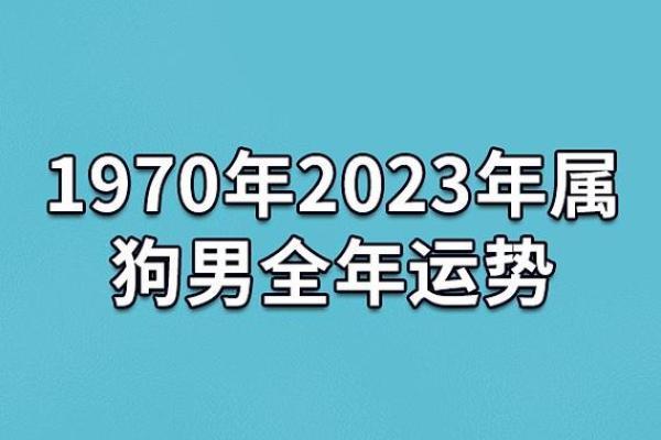 2018年属狗小孩的命运揭秘：如何培养他们的潜力与幸福人生！