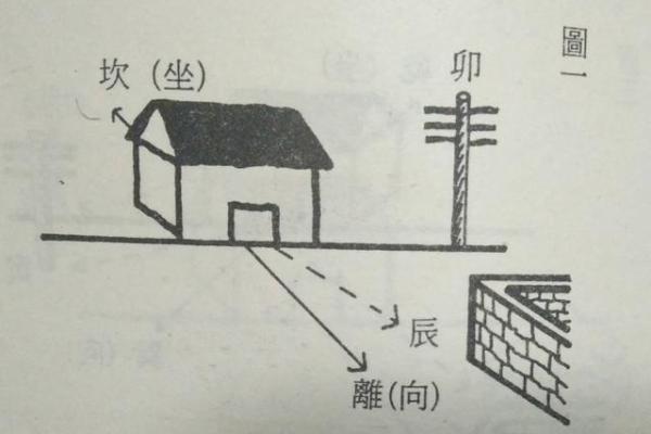 大林木猴命的忌讳与生活指导，助你趋吉避凶，平顺如意