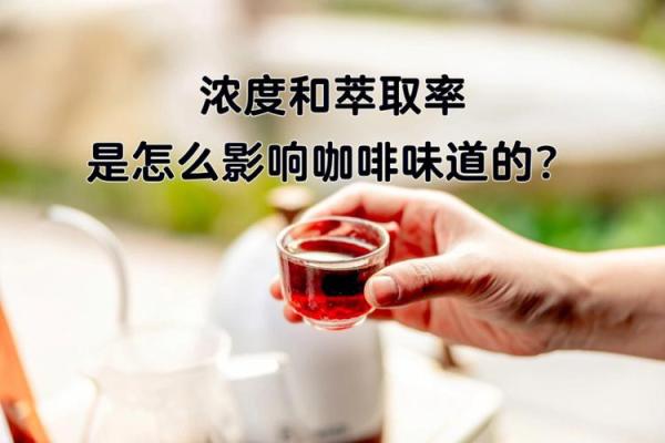 加酒的咖啡：提升风味与享受的完美结合