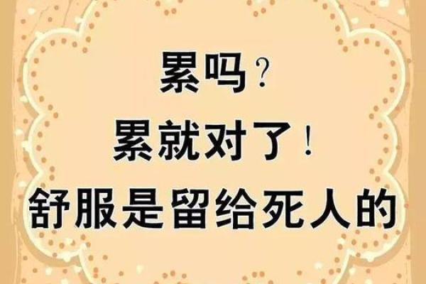 2018年属狗人的命运解析：细数运势与人生哲理