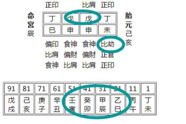 2023虎年命格解析：揭示生肖老虎的性格与运势秘诀