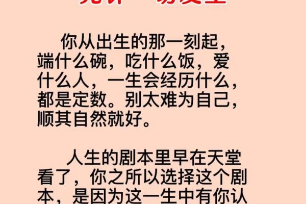 命好为什么有人疼爱：探寻生命中的幸运与温暖