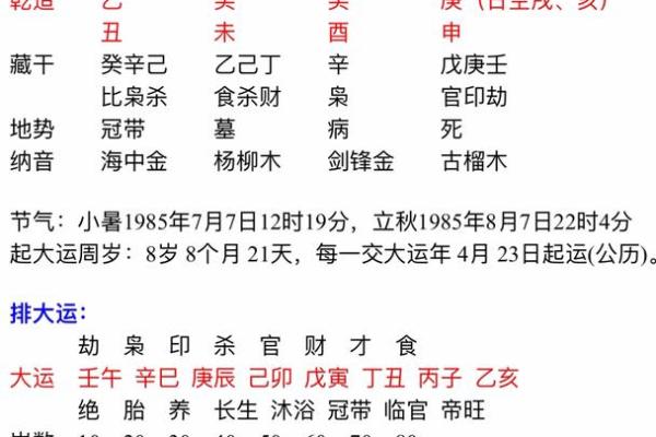 探索甲子壬申甲午癸酉的命运之奥秘，解密八字背后的力量与智慧