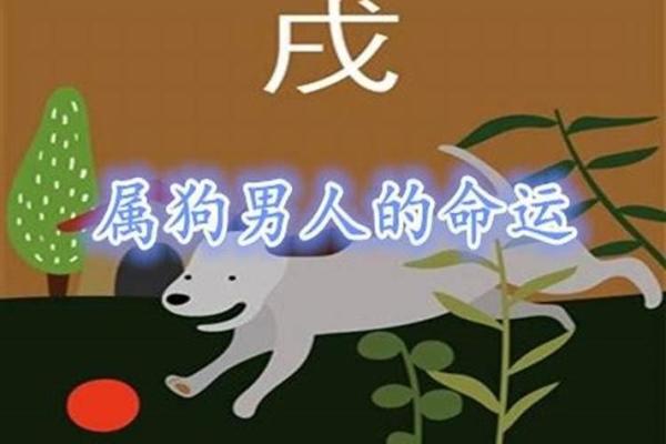 2018年属狗，性格分析与命运解析