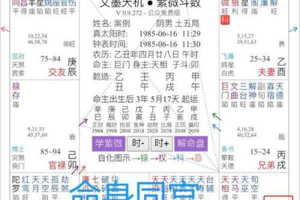 揭开紫微命格子女的神秘面纱：她们为何如此强大与成功？