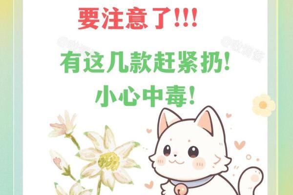 适合养猫狗的命理解析：让你的宠物与生活更和谐