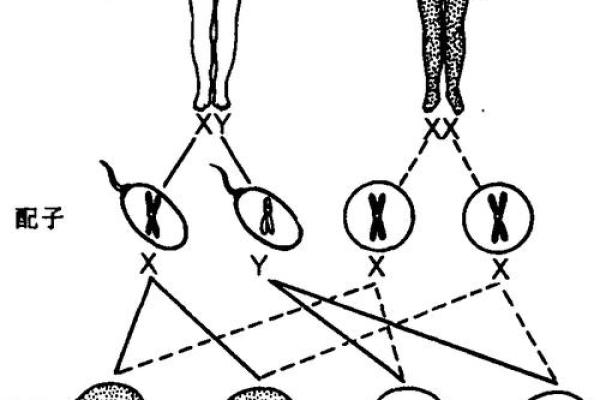 儿子争气的命格是什么？揭秘如何培养优秀子女的秘密!