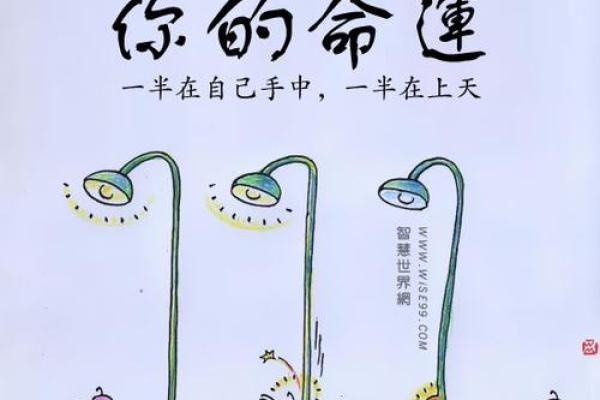 19808月29日出生的命运解析：探寻你的独特人生轨迹