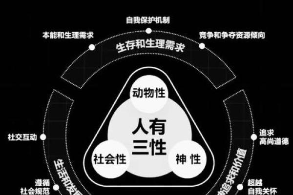 探秘童子命：为何有些人流传此说与命运的关系