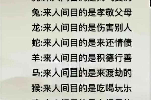 了解命里属相，探寻你的生肖秘密与命运智慧