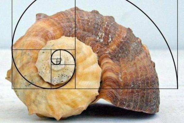 宝宝命心1.8：解析这一神秘数字背后的命理智慧