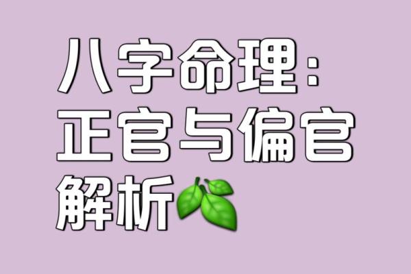 元月20日出生者的命运与性格解析，探秘天生性格与命理之谜！