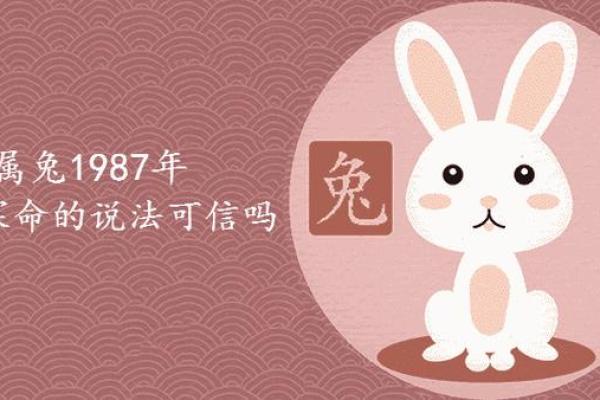 2020年兔年运势分析：命理揭秘与生活指导