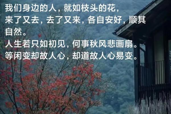 2018年火命年：热情与挑战并存的人生旅程