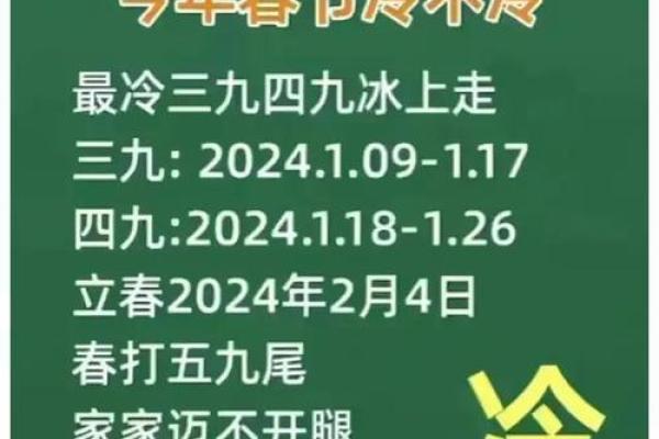 辈分高的人是什么命？探寻家族命运与属相的奥秘