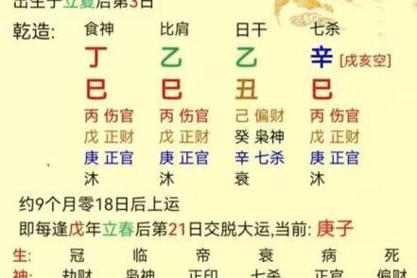 乙年生的人是什么命：探索乙木之命的独特魅力与智慧