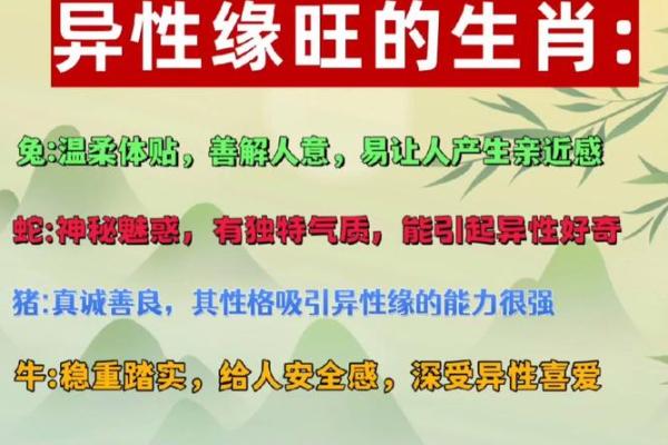 2019年68岁属什么命？带你走进八字命理的奥秘与智慧！