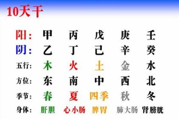 2019年68岁属什么命？带你走进八字命理的奥秘与智慧！