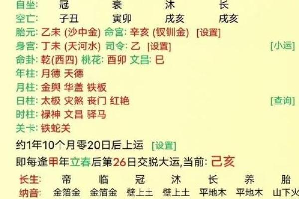 2009年火女命：神秘而独特的命理解析与生活寓意