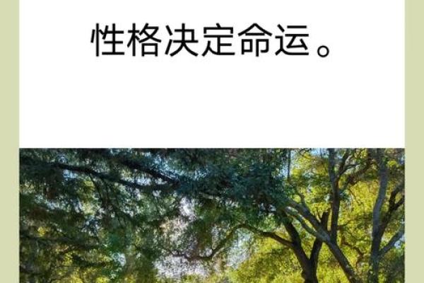 2019年3月出生的宝宝命运分析：她们的独特性格与未来发展