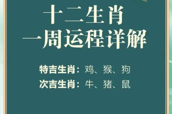 2023年属相解析：28属相命运与人生智慧