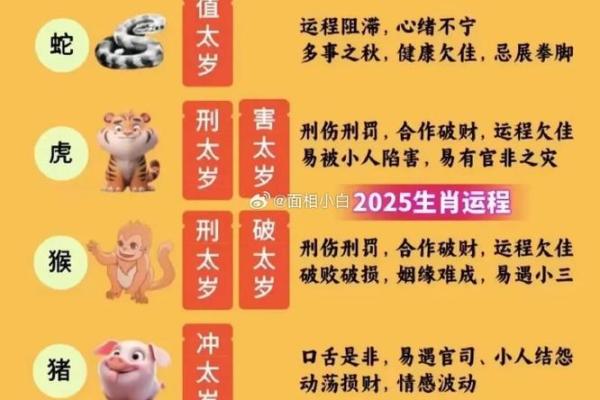 2025年属蛇：命运与运势的深度剖析与启示