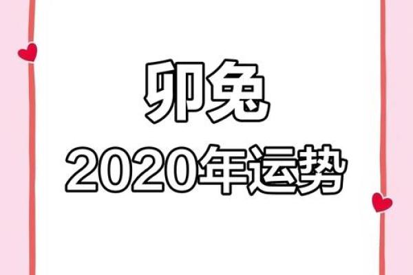 2023兔年命运解析：掌握属兔人的运势与人生方向