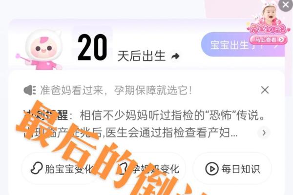 2023年兔宝宝：命理分析与成长之道