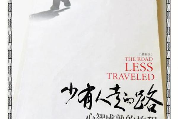 童年丧父，男孩的命运之舟：从失去到成长的心灵旅程