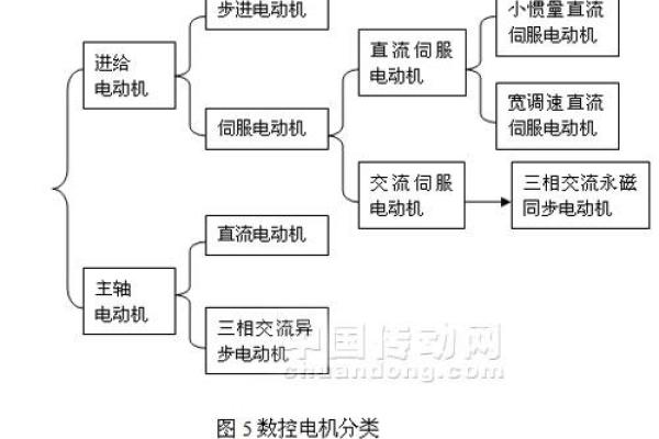 土命人适合发展的行业与学习方向探讨